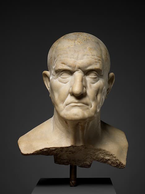 Marble bust of a Roman man with a skeptical expression — The Met, public domain